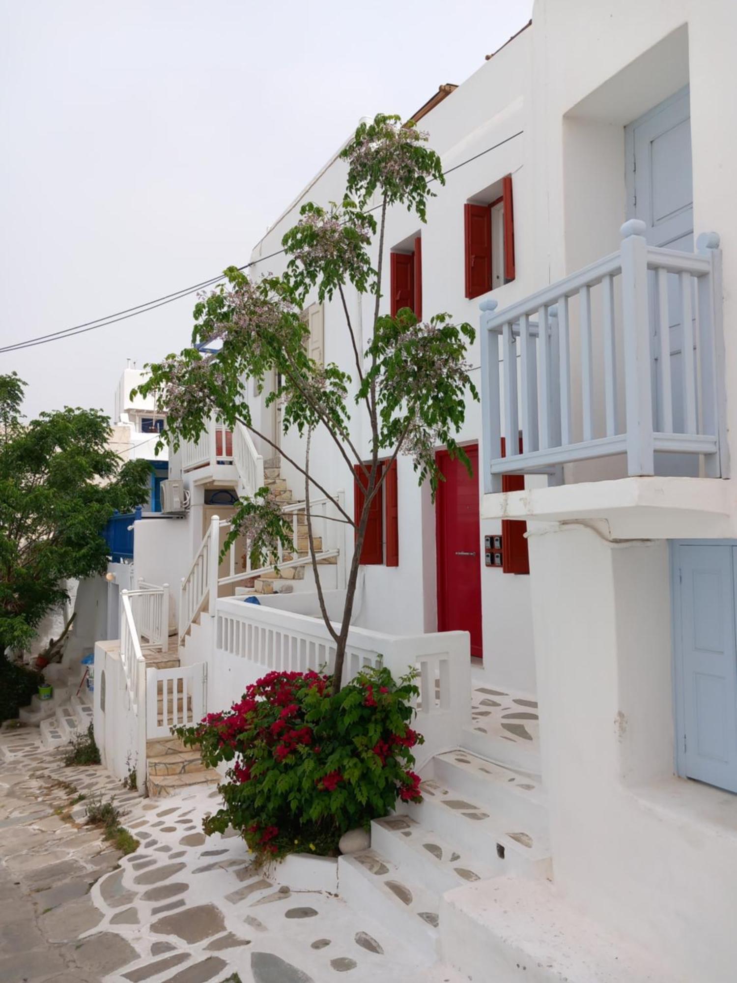 Alex Oldtown Sea View Rooms And Appartments Mykonos Town 외부 사진