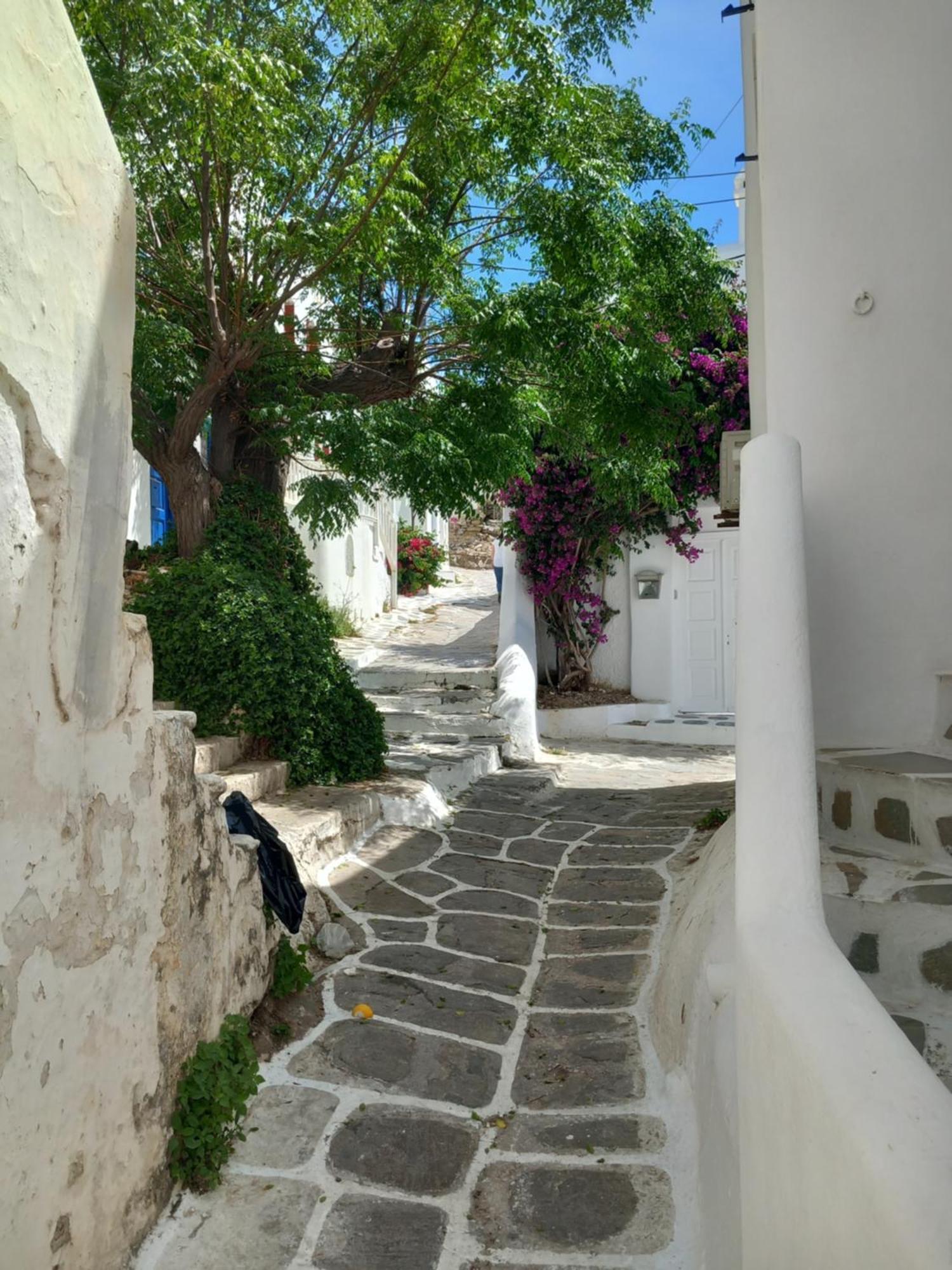 Alex Oldtown Sea View Rooms And Appartments Mykonos Town 객실 사진