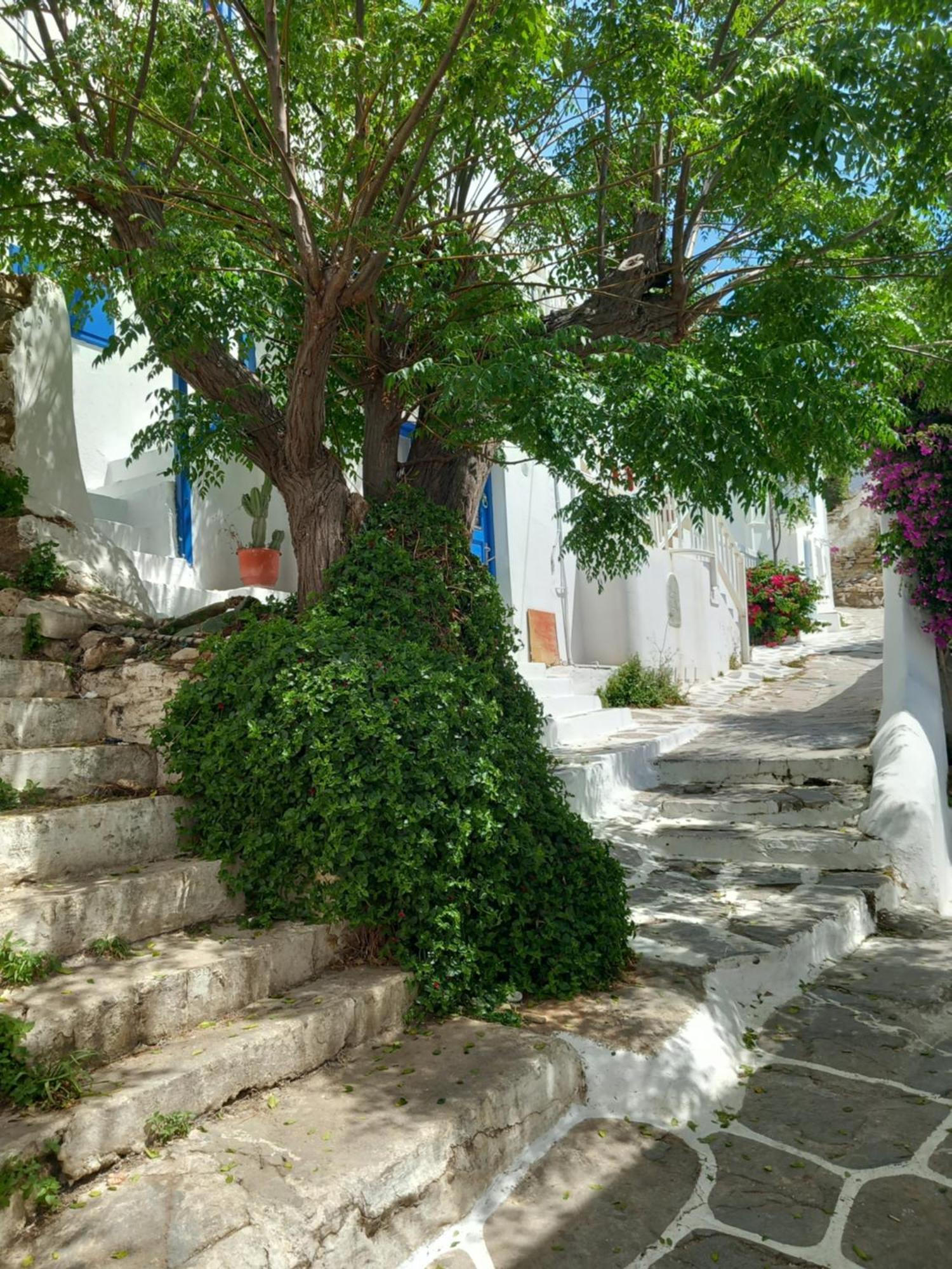 Alex Oldtown Sea View Rooms And Appartments Mykonos Town 외부 사진